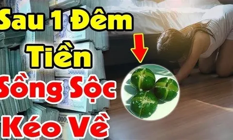 Tại sao nhiều người hay đặt bát chanh muối ở góc nhà?