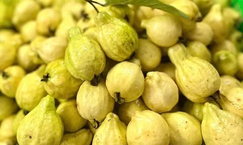Loại quả mọc bờ rào xưa chín rụng đầy, nay thành đặc sản được ưa chuộng giá 60.000 đ/kg, trồng một lần thu hoạch nhiều năm