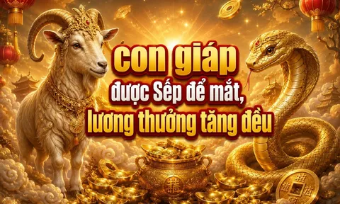 4 con giáp được Sếp để mắt, lương thưởng tăng đều từ 3/8 đến 15/8