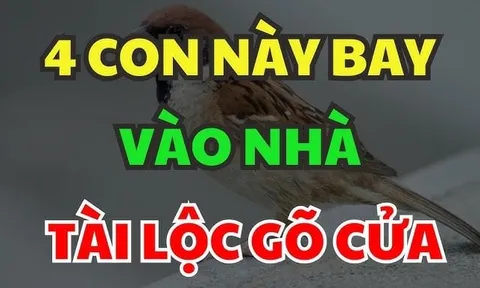 4 con vật tượng trưng cho Thần Tài chúng vào nhà bạn mang nhiều may mắn