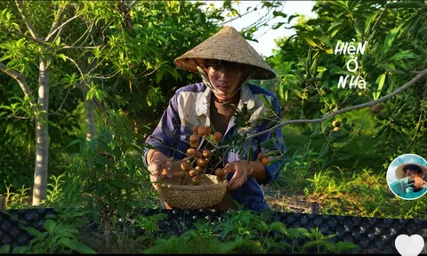 Hiển Ở Nhà - Sự mộc mạc, bình dị trong những câu chuyện về thiên nhiên làm nên những video triệu view