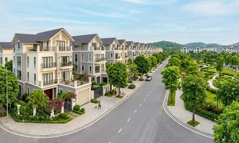 Chung cư Hà Nội giảm giá nhưng vẫn ngang biệt thự vùng ven: Có 10-16 tỷ đồng nên xuống tiền ở đâu?