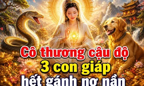 Cô thương Cậu Độ, 3 con giáp hết gánh nợ nần, Tiền về ồ ạt