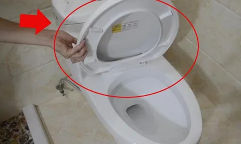 Nên đóng hay mở nắp bồn cầu sau khi đi vệ sinh?