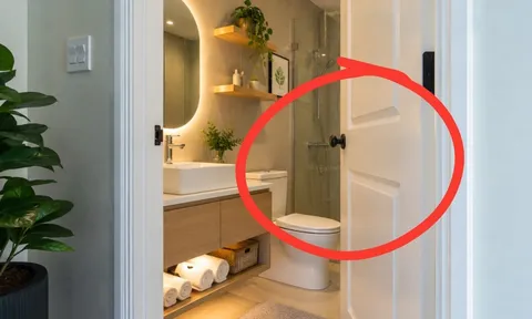 Nên mở hay đóng cửa nhà vệ sinh khi không dùng?