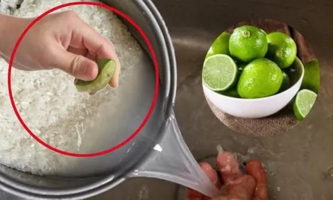 Vì sao bạn nên vắt vài giọt chanh vào nồi cơm?