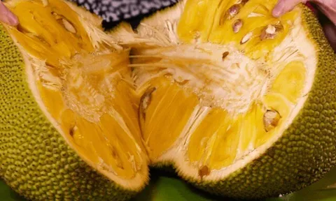 Bổ mít là bị dính nhựa vào tay, cứ dùng 5 thứ này chà nhẹ là nhựa bong hết sạch, tha hồ bổ nhiều lần
