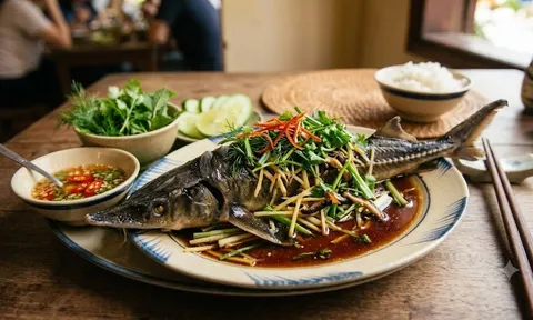 Cách làm cá tầm hấp xì dầu thơm ngon, đậm vị, không bị tanh hay khô