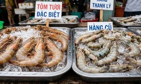Chủ quầy hải sản 20 năm cảnh báo: 5 loại tôm rẻ mấy cũng đừng mua, nhiều người vẫn vô tư chọn