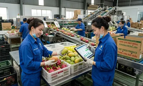 Ngành học được dự báo "khát" nhân lực trong 10 năm tới: Ra trường dễ xin việc, nhiều doanh nghiệp săn đón