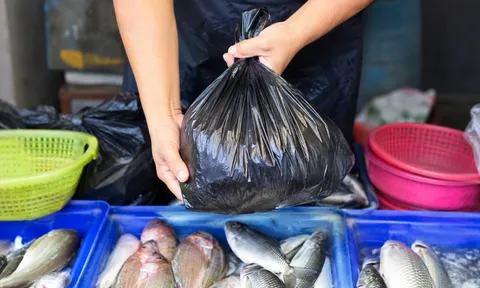 Vì sao người bán cá thường đựng bằng túi nilon màu đen thay vì túi trắng, hồng hay xanh?