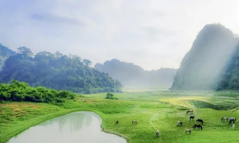 5 điểm đến "chữa lành" gần Hà Nội vừa tiết kiệm lại di chuyển nhanh, giúp du khách tận hưởng không gian xanh