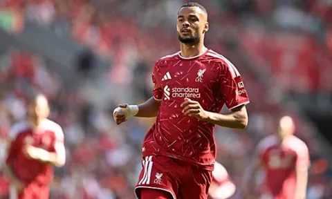 Liverpool sẵn sàng bán Gakpo cho Tottenham 70 triệu bảng