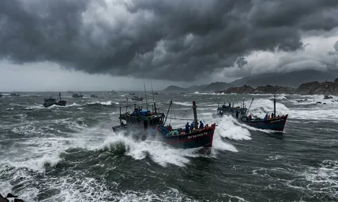 21 tỉnh, thành được yêu cầu khẩn trương ứng phó áp thấp nhiệt đới trên Biển Đông
