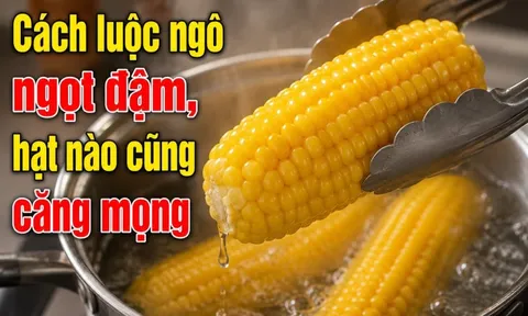 Cách luộc ngô ngọt đậm, hạt nào cũng căng mọng
