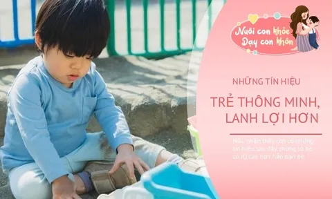 8 tín hiệu trẻ có IQ cao, nếu hơn 3 xin chúc mừng, trí thông minh của bé cao hơn hẳn bạn bè