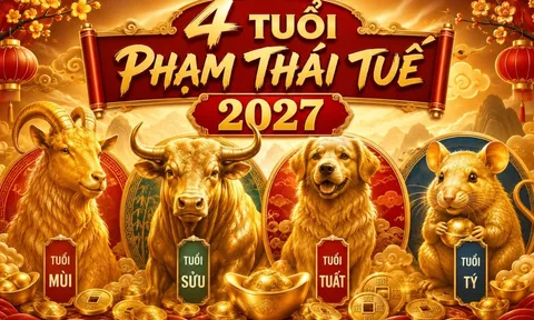 4 con giáp phạm Thái Tuế năm 2027: Cẩn thận tiền mất tật mang