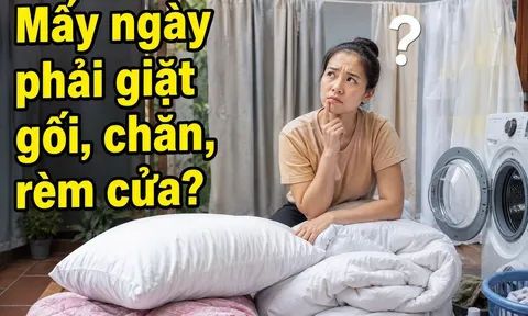 Mấy ngày phải giặt gối, chăn, rèm cửa?