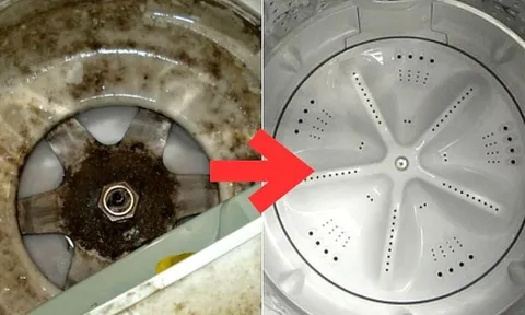 Bao lâu thì nên vệ sinh máy giặt một lần?