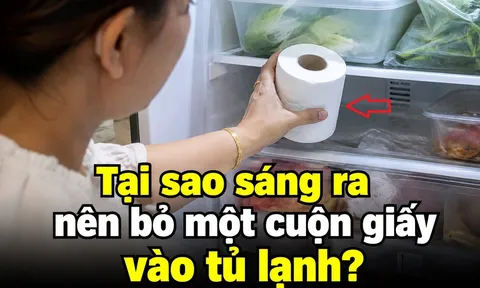 Tại sao sáng ra nên bỏ một cuộn giấy vào tủ lạnh?