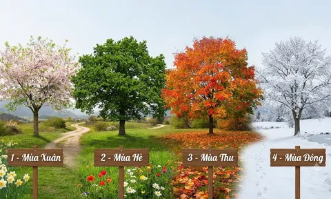 Trắc nghiệm: Chọn 1 cái cây tượng trưng cho mùa mà bạn thích nhất