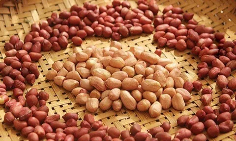 Nên chọn lạc đỏ hay trắng thì ngon? Biết sự thật này bạn sẽ không còn mua nhầm nữa