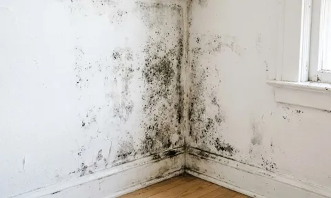 Mẹo xử lý tường nhà bị bong tróc, ẩm mốc