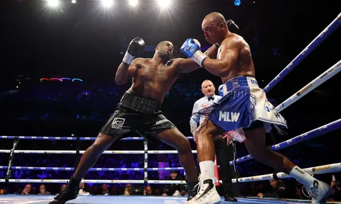 Trận tái đấu rực lửa giữa Daniel Dubois và Fabio Wardley dự kiến diễn ra vào tháng 10