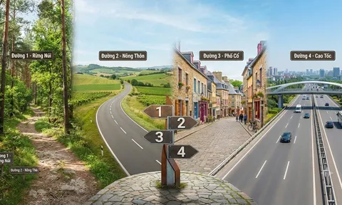 Trắc nghiệm: Chọn 1 con đường bạn muốn bước qua