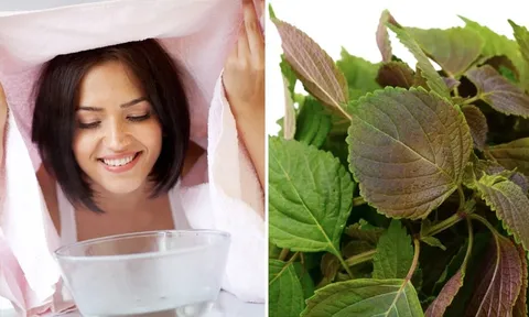 Xông mặt bằng lá tía tô có thực sự tốt? Những điều cần biết để tránh gây hại cho làn da