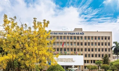 5 trường ĐH uy tín đào tạo ngành Tâm lý học, điểm chuẩn gần tuyệt đối, nhiều nơi "trải thảm đỏ" ngay khi tốt nghiệp