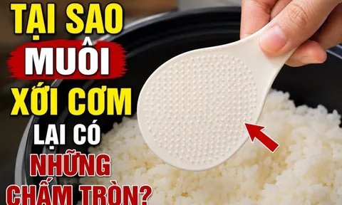 Tại sao muôi xới cơm lại có những chấm tròn?