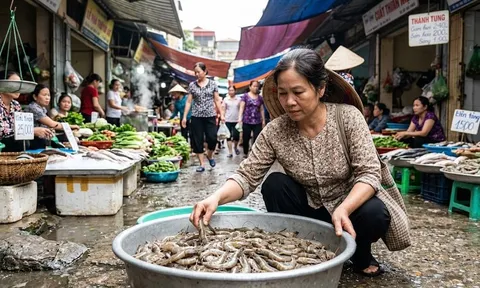 Đi chợ mua tôm nên chọn tôm cong hay tôm thẳng?