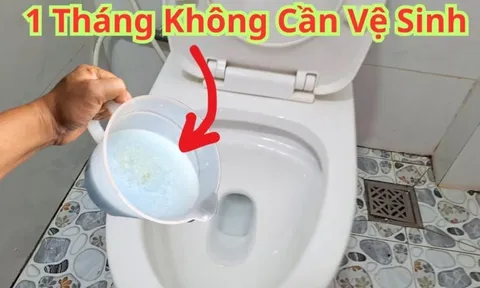 Nhà tắm cứ để 1 thứ: Hết hôi, không sợ vi khuẩn