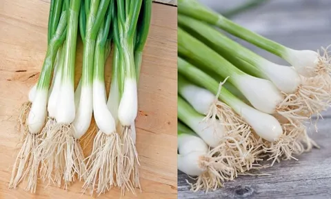 Phần rễ hành lá không phải đồ bỏ đi, giữ lại có lợi ích đặc biệt
