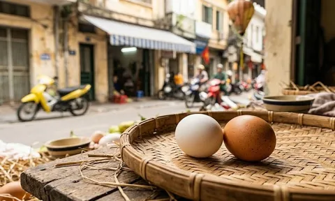 Trứng vỏ đỏ hay vỏ trắng mới tốt? Đáp án từ lão nông khiến ai cũng giật mình