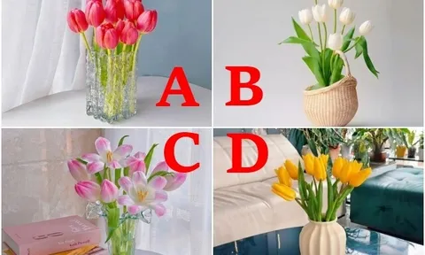 Trắc nghiệm: Bạn đứng thứ mấy trong lòng nửa kia? Chọn 1 đáp án để biết sự thật