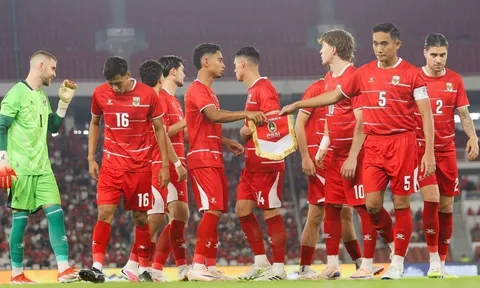 Tuyển Indonesia sẽ đứng dậy thế nào sau "cú tát" AFF Cup?