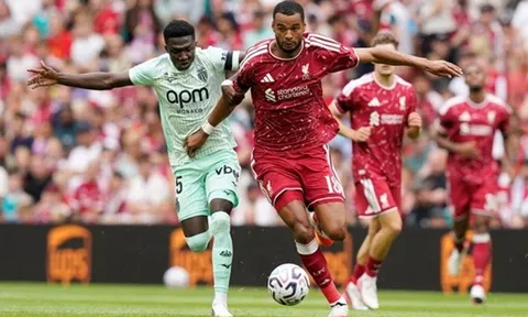 Lý do Roberto De Zerbi muốn đưa Cody Gakpo về Tottenham