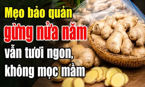 Mẹo bảo quản gừng nửa năm vẫn tươi ngon, không mọc mầm