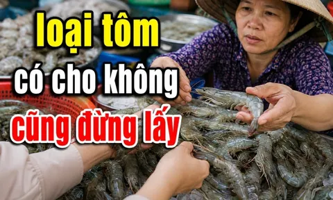 Dân biển tiết lộ: 5 loại tôm có cho không cũng đừng lấy