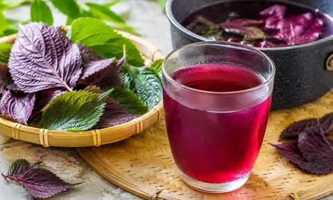Khi nấu nước tía tô, nhớ mẹo này thì màu đỏ đẹp, không thâm xỉn
