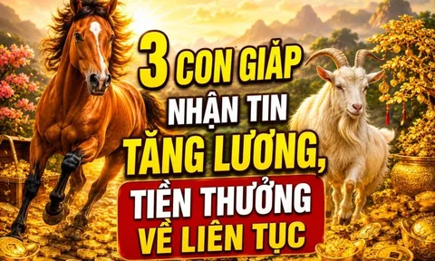 3 con giáp nhận tin tăng lương, Tiền thưởng về liên tục