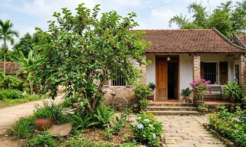 2 cây tuyệt đối đừng trồng trước cửa kẻo tán lộc, dời ra sau nhà lại càng ở càng giàu!