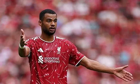 Liverpool cân nhắc thương vụ kép 200 triệu euro nếu Gakpo ra đi