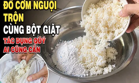 Đổ cơm nguội trộn cùng bột giặt, tác dụng quý ai cũng cần