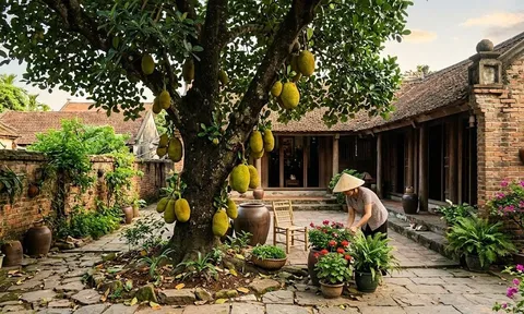 5 lý do nên trồng ngay một cây mít trong vườn nhà: Vừa hút tài lộc, vừa thu lợi đủ đường
