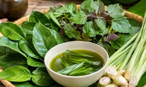 Cách dùng 3 loại lá phổ biến để gội đầu giúp sạch gàu, mượt tóc, hỗ trợ mọc tóc con