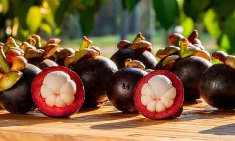 Tại sao nhiều khách sạn không cho mang quả măng cụt vào phòng?