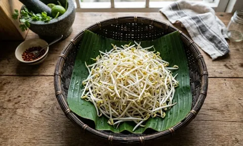 Thường xuyên ăn giá đỗ, cơ thể nhận được 5 lợi ích tuyệt vời này